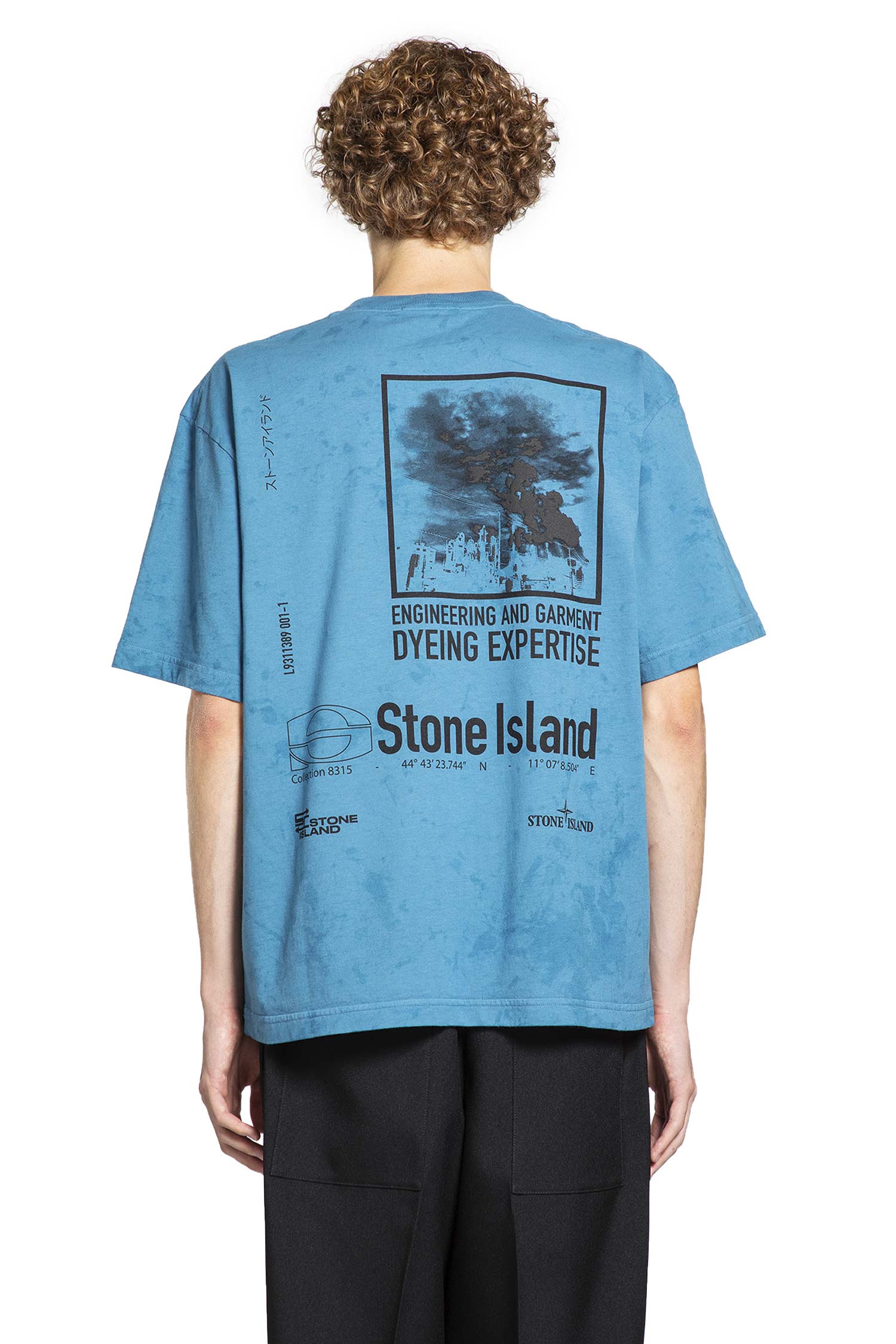 T-Shirt in Cotton Jersey