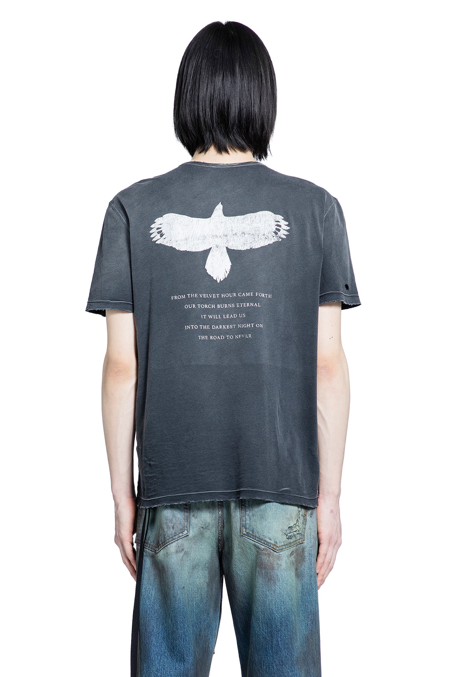 Baptist Standard T-shirt With "Eternal Eagle"