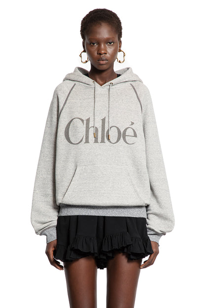 Oversized Logo Hoodie Sweatshirt - Antonioli.eu