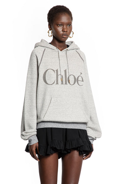Oversized Logo Hoodie Sweatshirt - Antonioli.eu