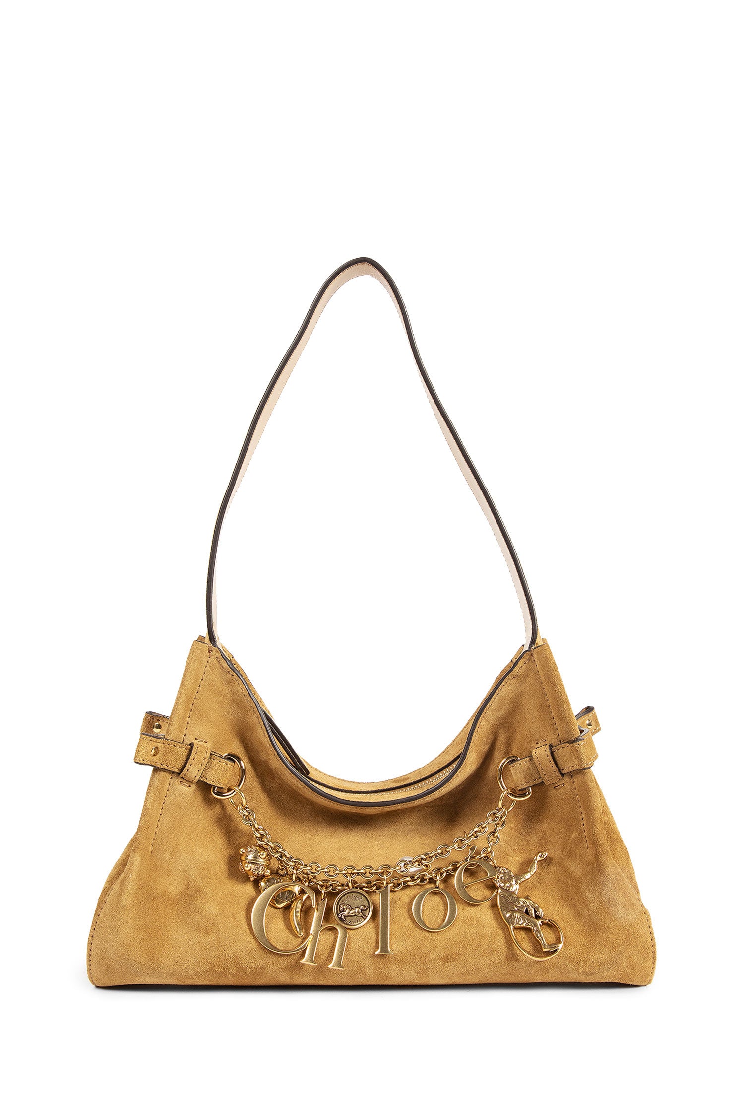 Charms Hobo Bag in Suede