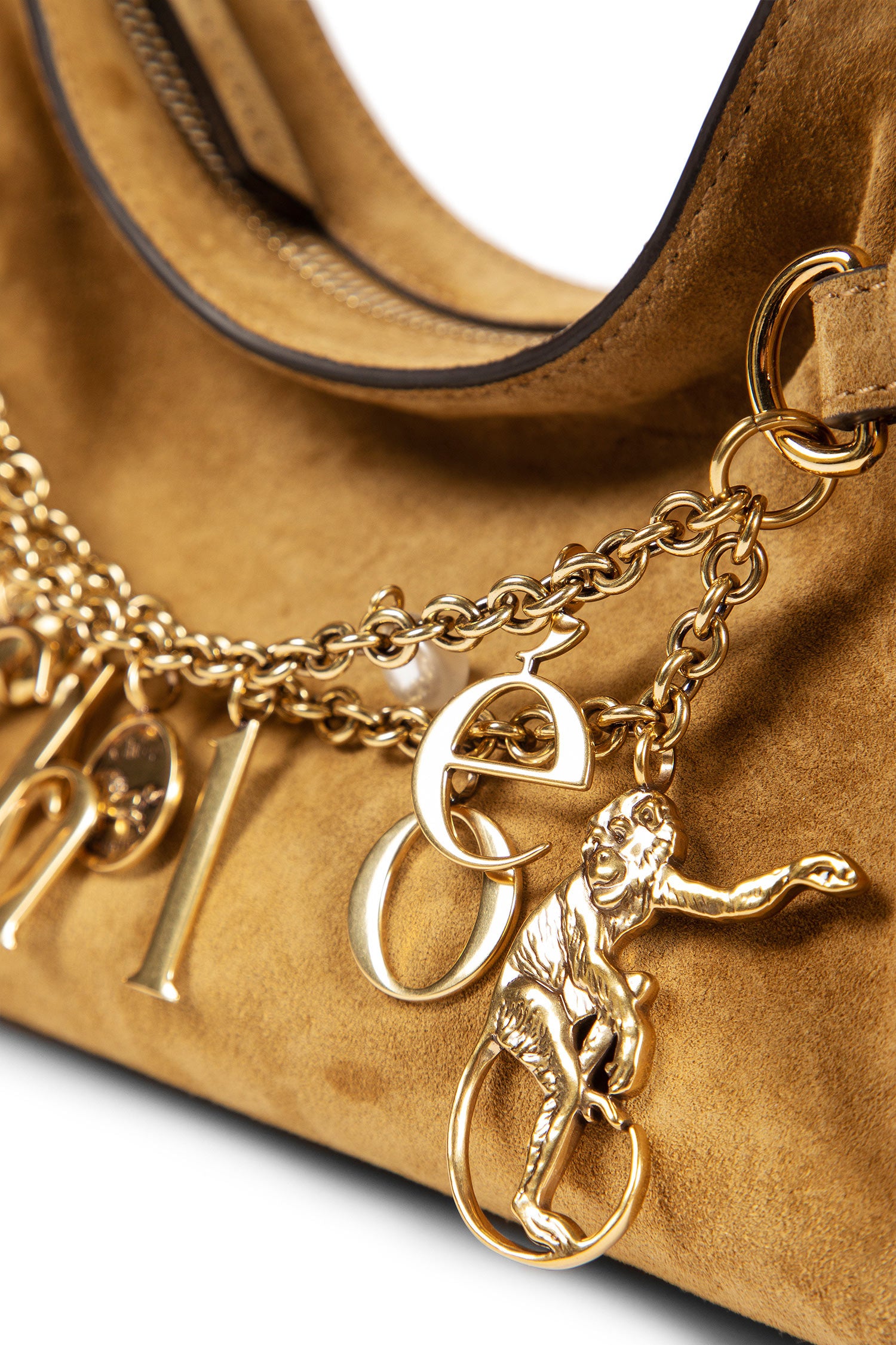 Charms Hobo Bag in Suede