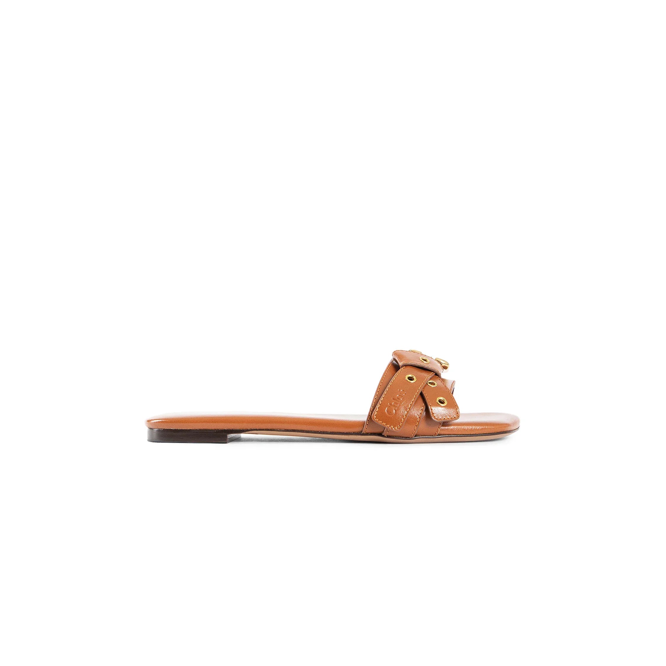 Mae Slides - Antonioli.eu