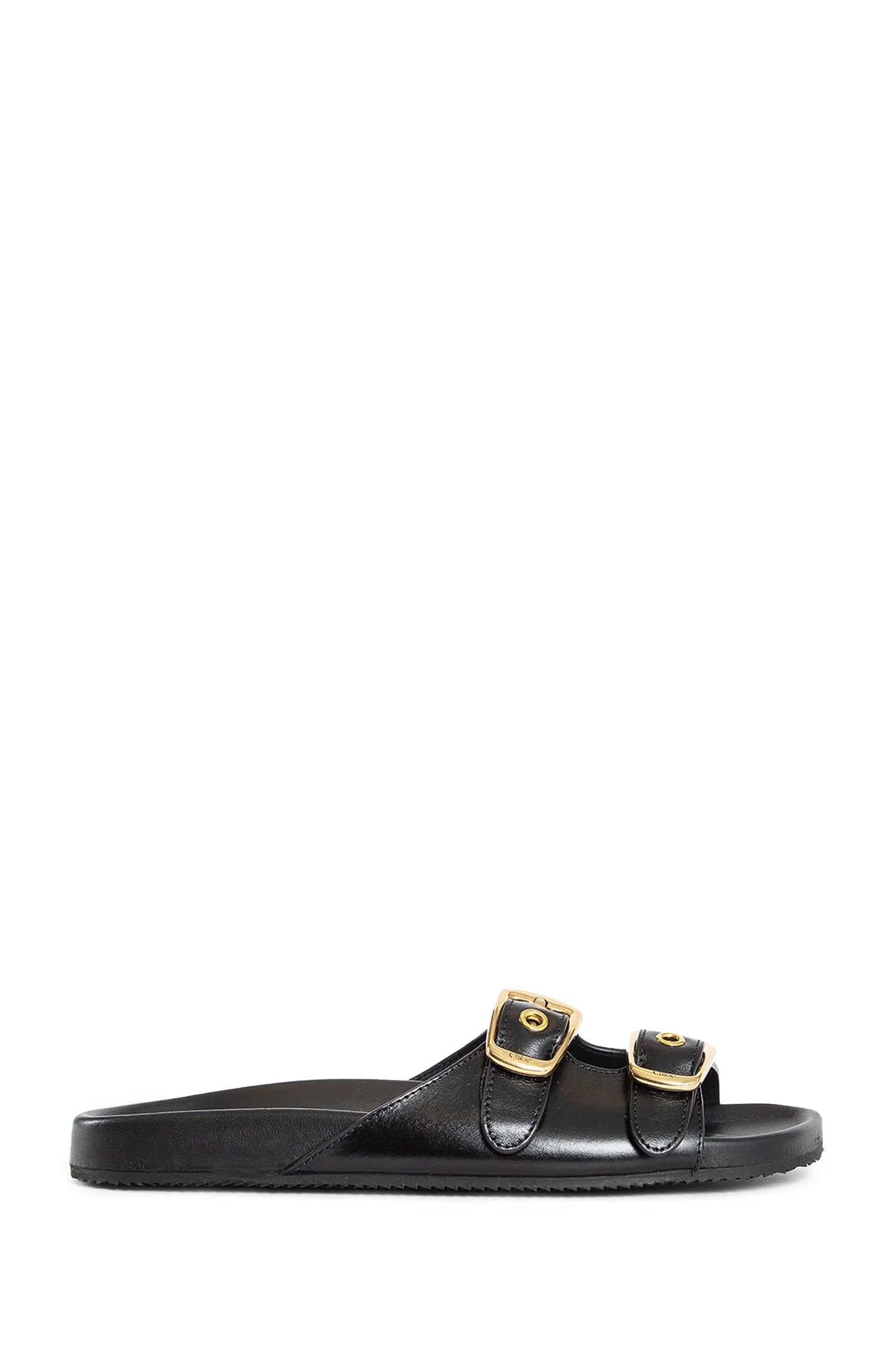Polly slides - Antonioli.eu