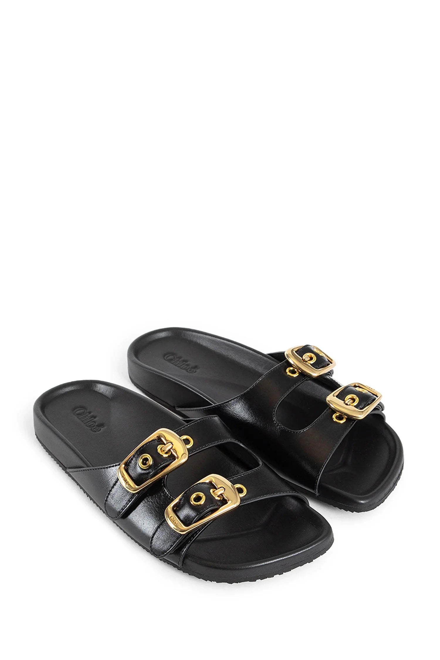 Polly slides - Antonioli.eu