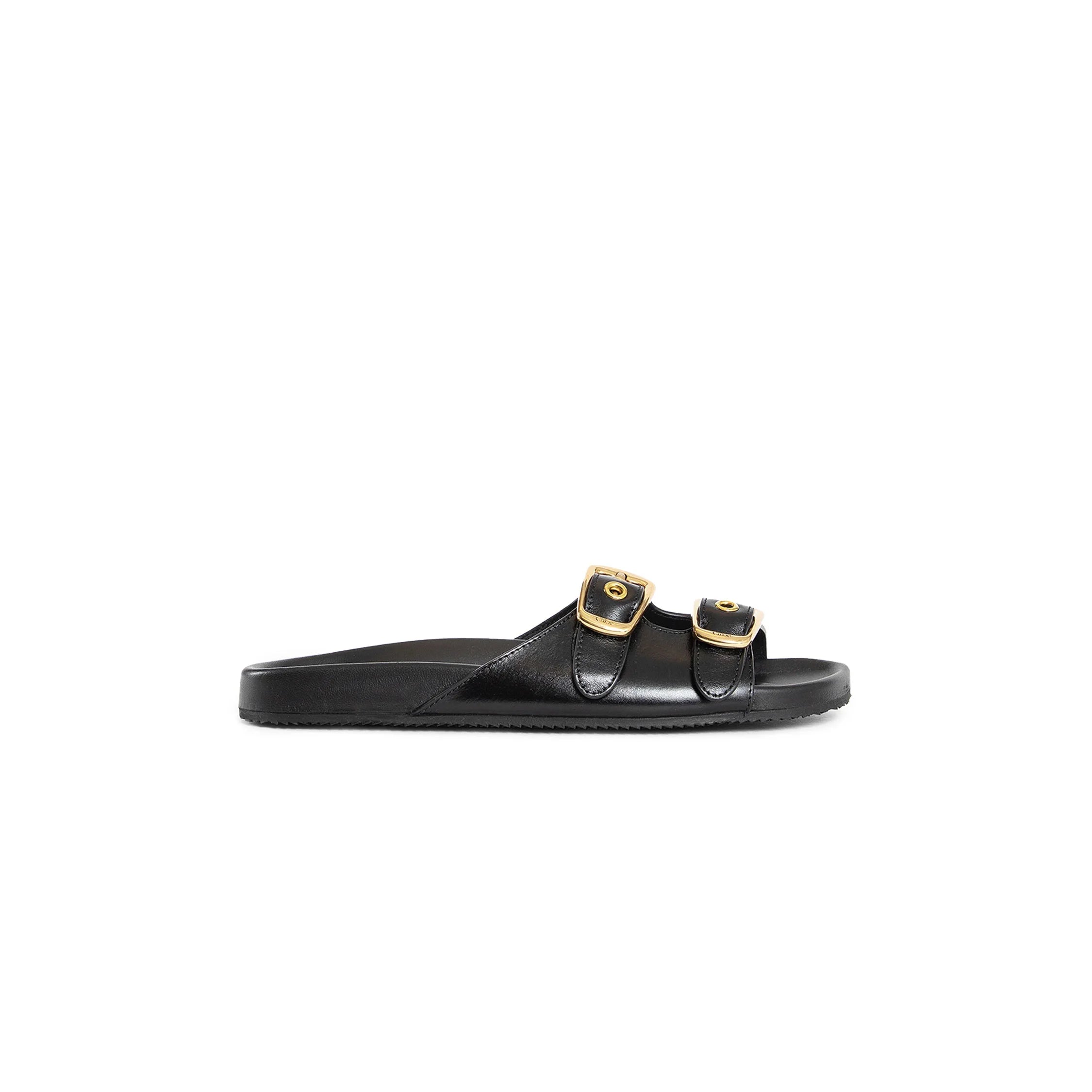 Polly slides - Antonioli.eu