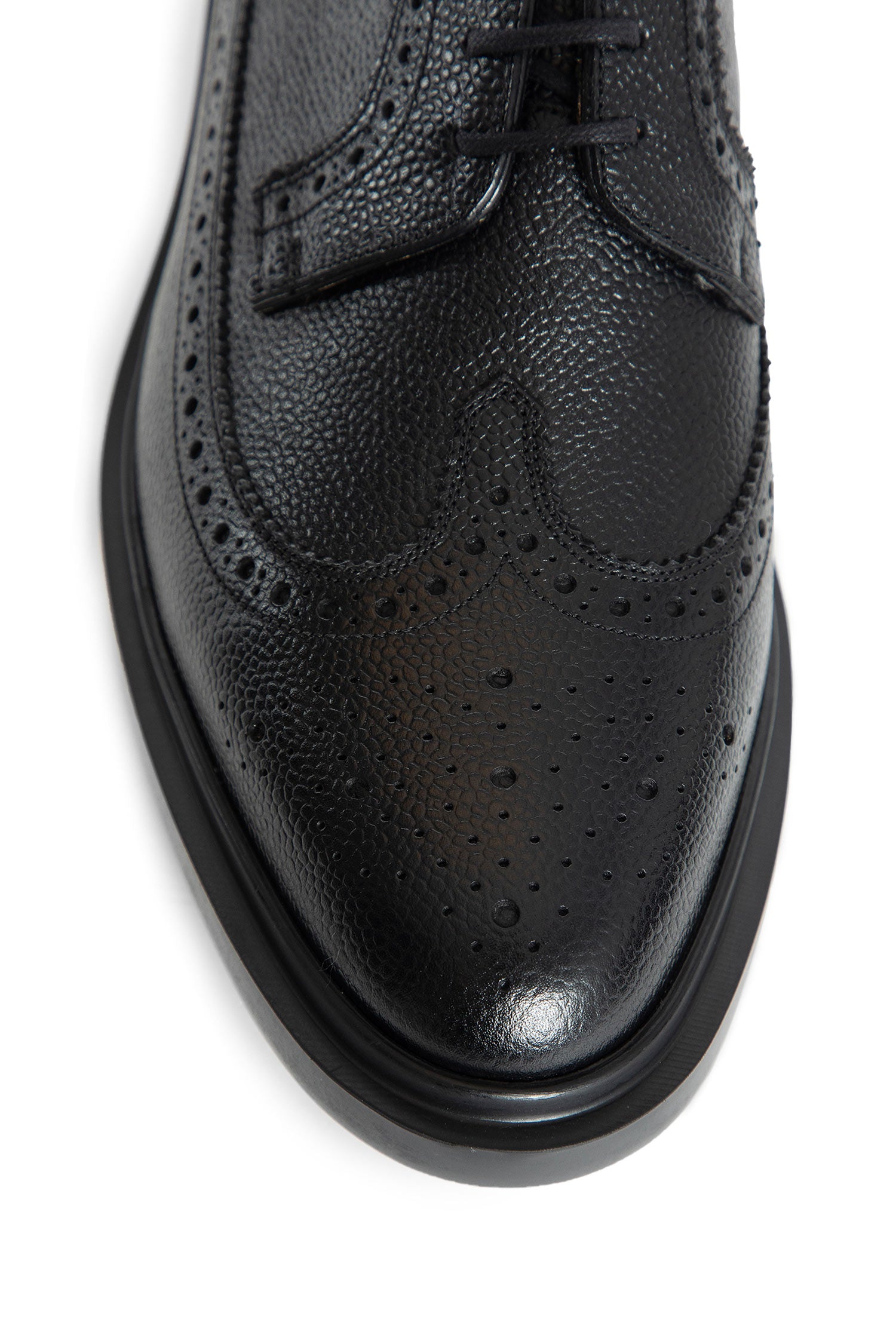 Longwing Brogue Derby