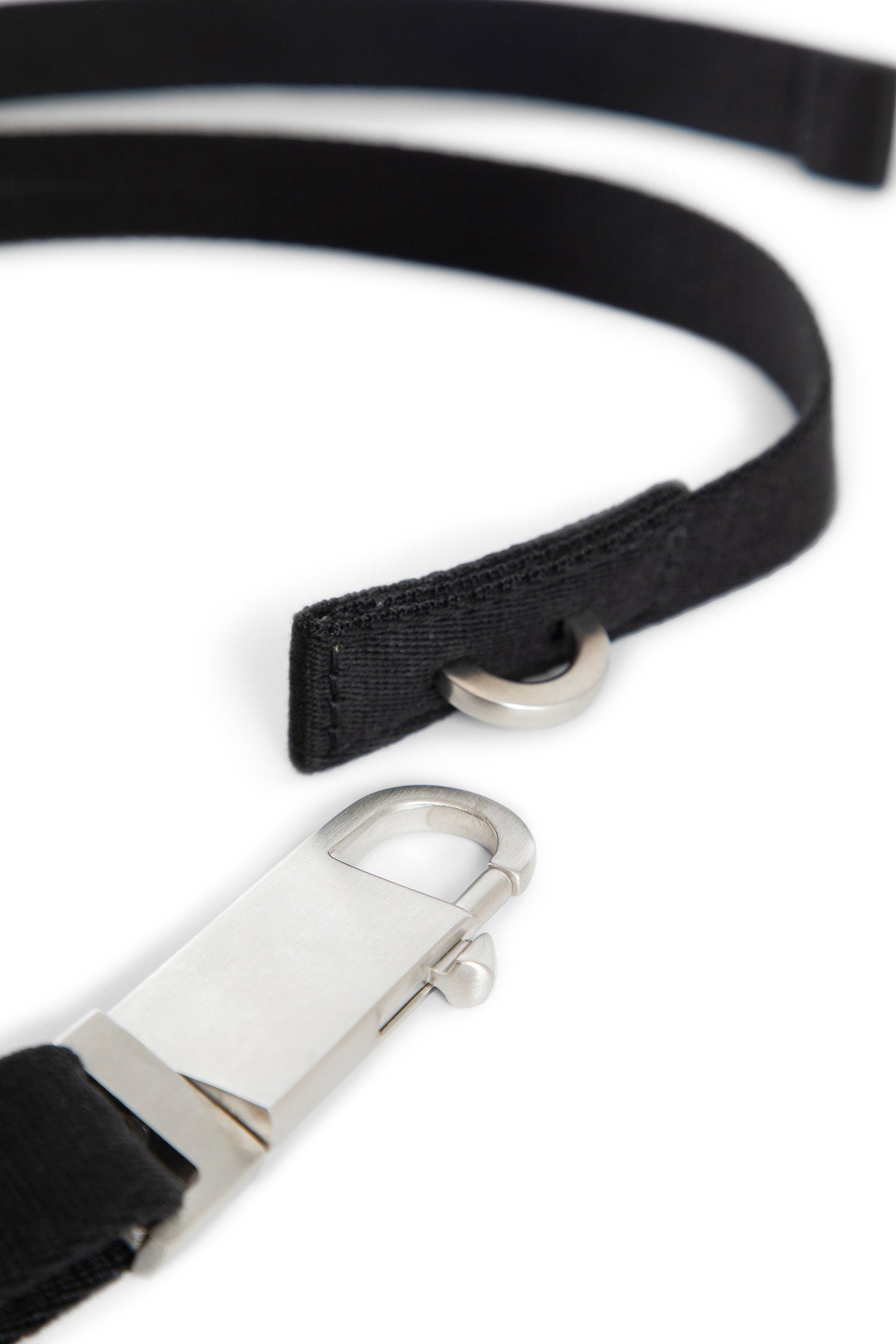 Concordians Disco Belt - Antonioli.eu