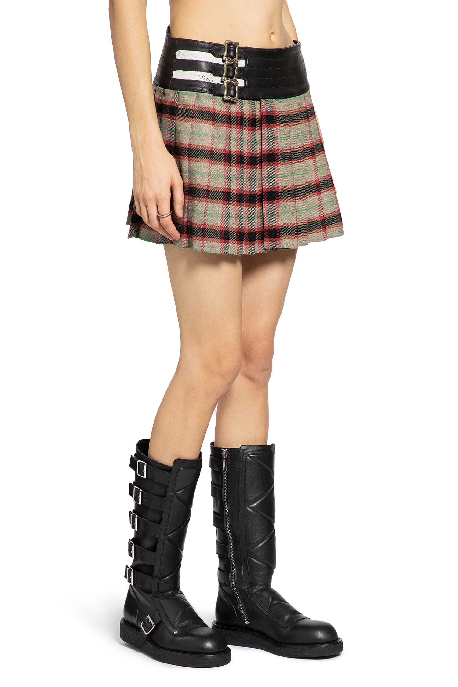 Dog in Restraint Skirt