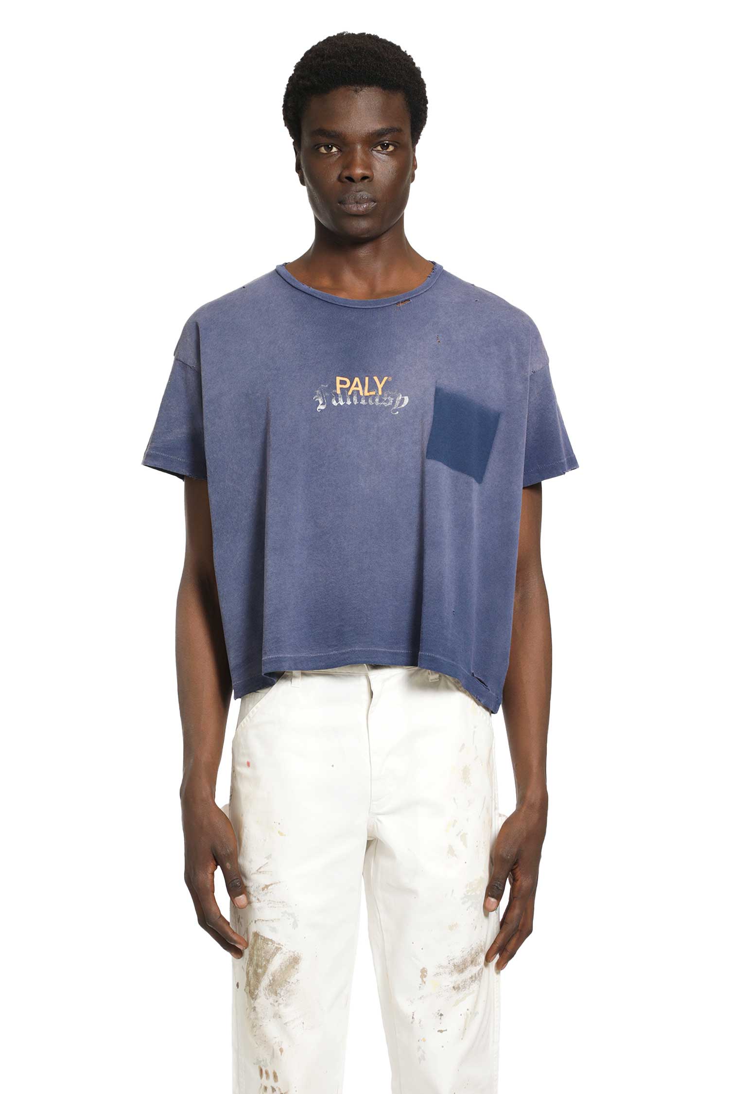 PALY HOLLYWOOD Core Logo T-shirt man