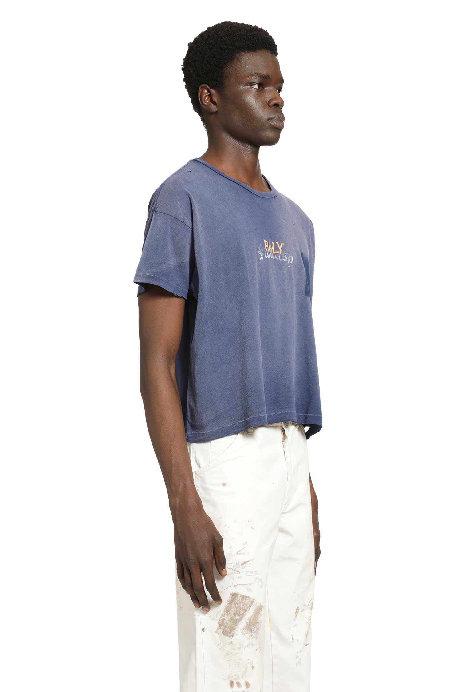 PALY HOLLYWOOD Core Logo T-shirt man