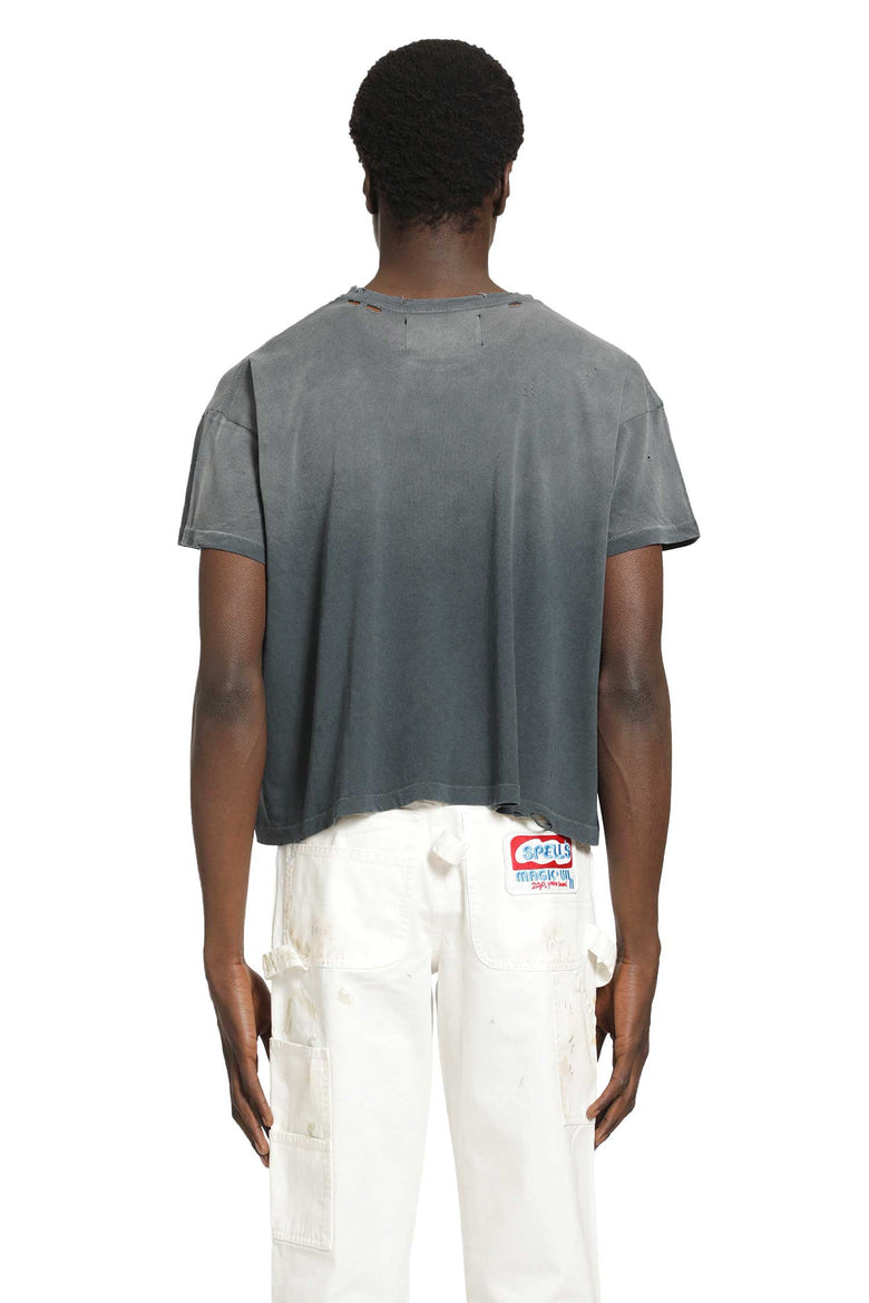 PALY HOLLYWOOD Core Logo T-shirt man