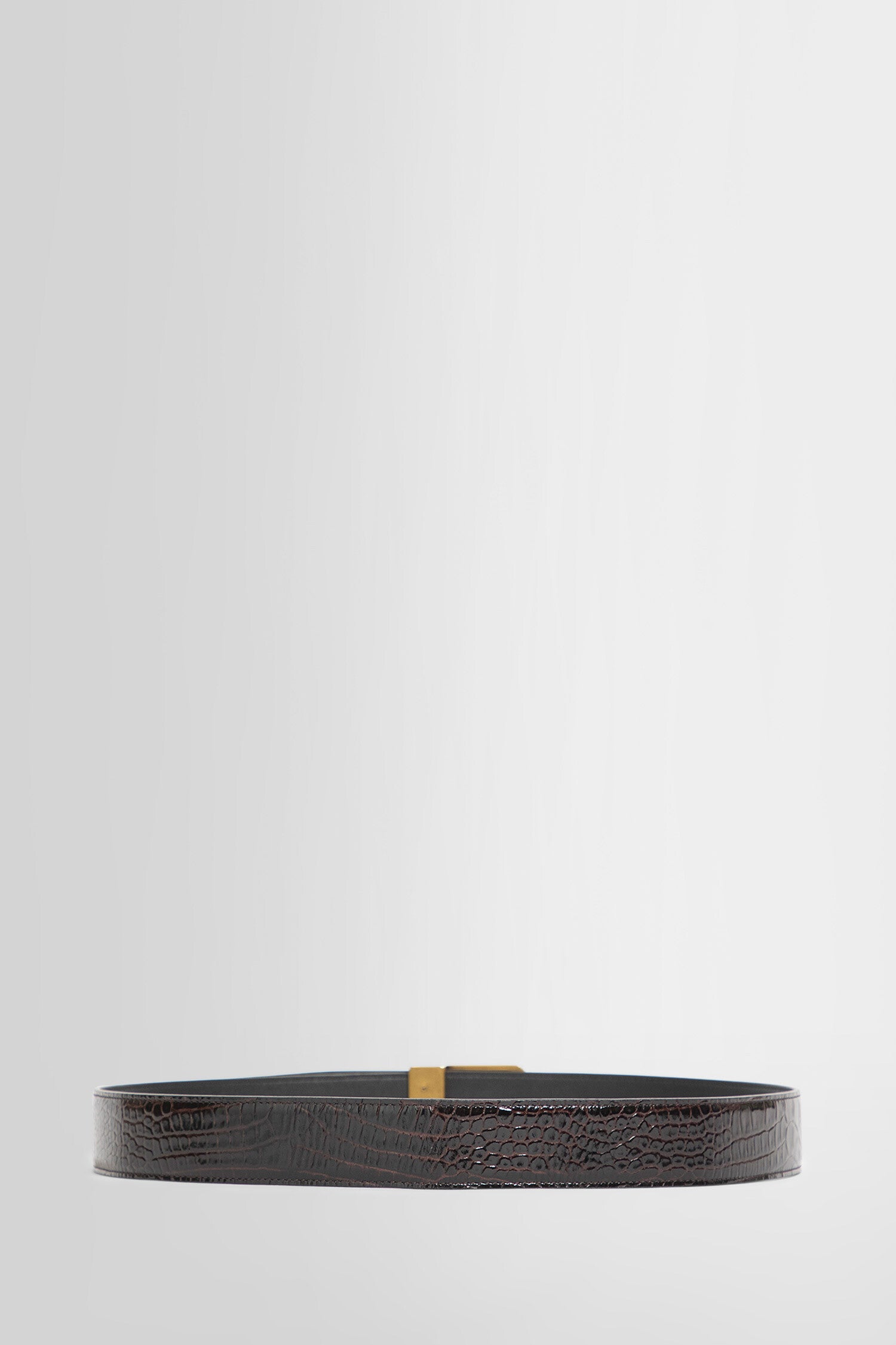 SAINT LAURENT WOMAN BROWN BELTS