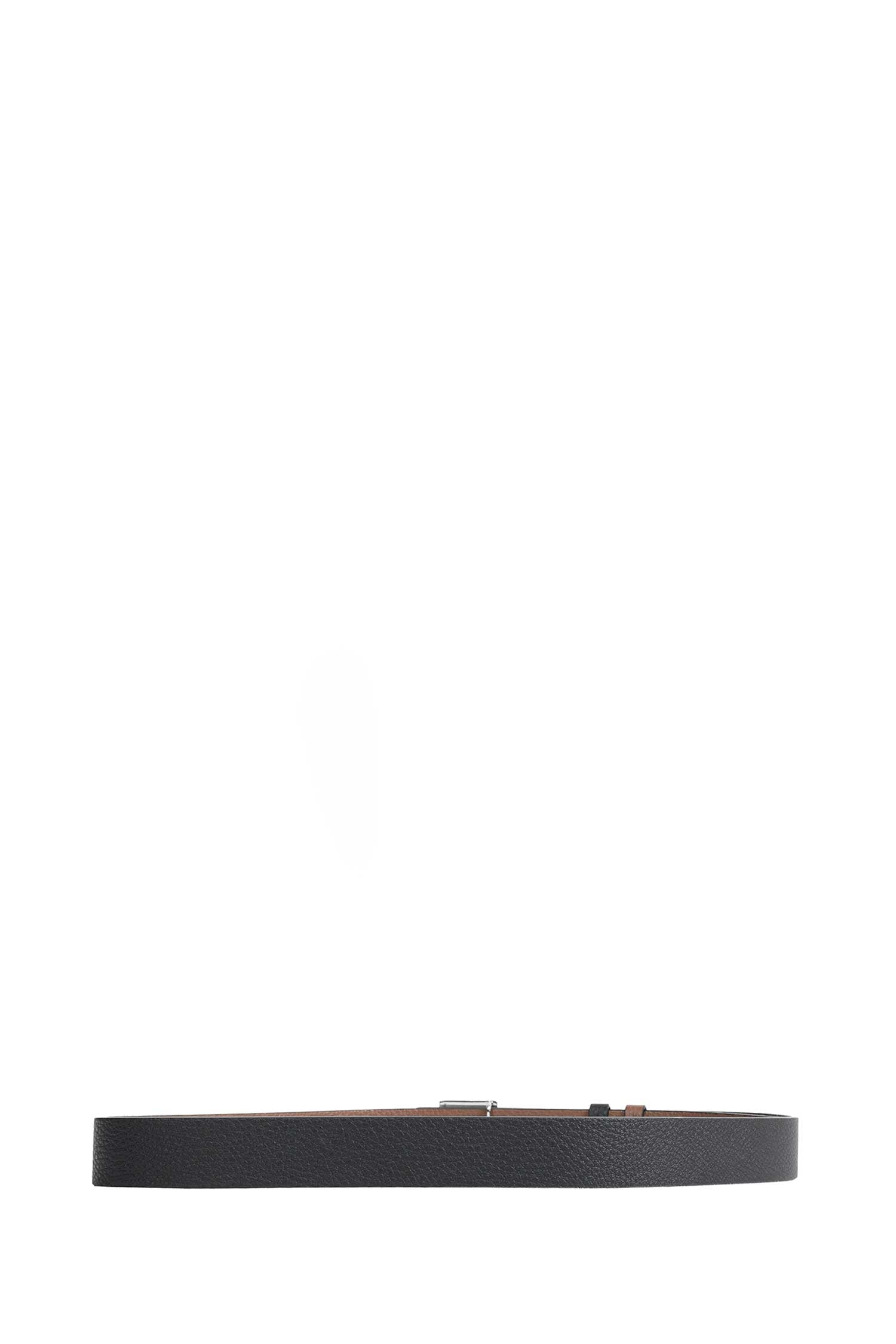 Reversible Belt