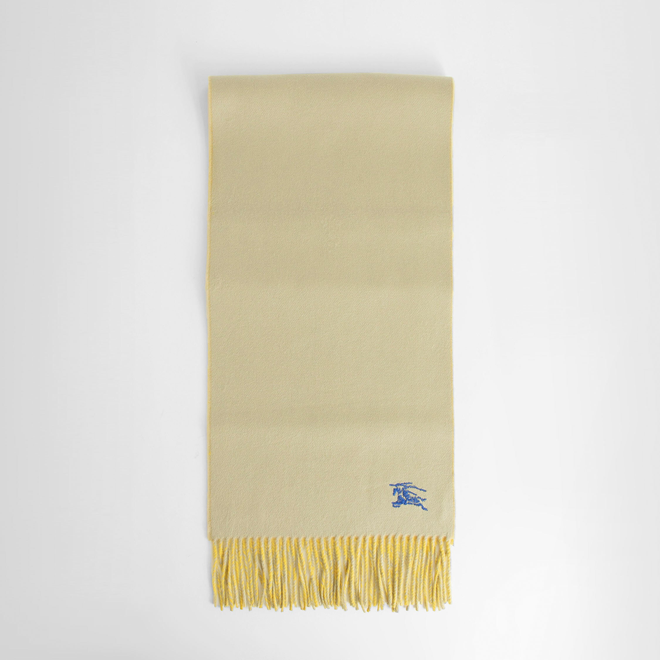 Burberry pistachio discount scarf