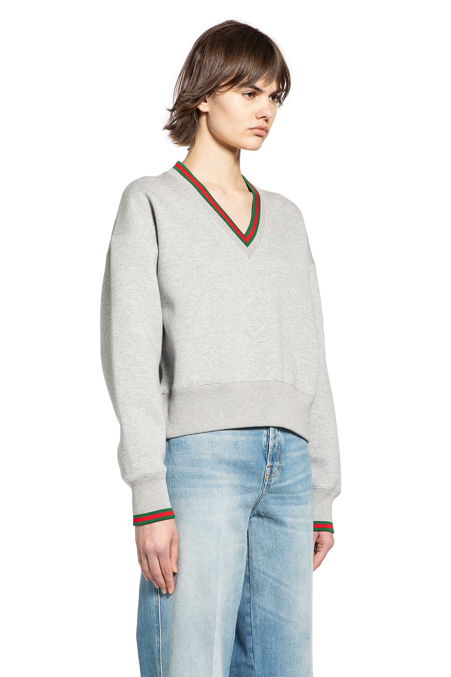 Web V-Neck Sweatshirt