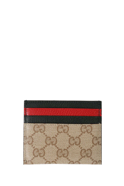 Card Holder with Multicolor Slots