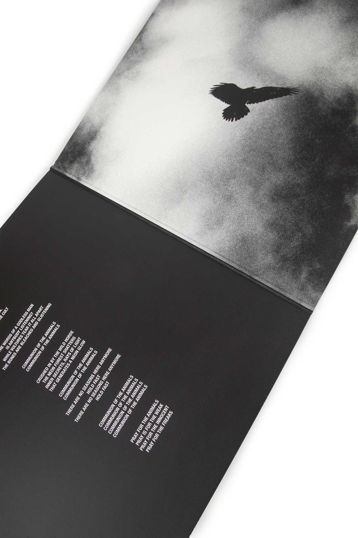 C.O.T.A. — Autumn / Winter 2025 Show Vinyl