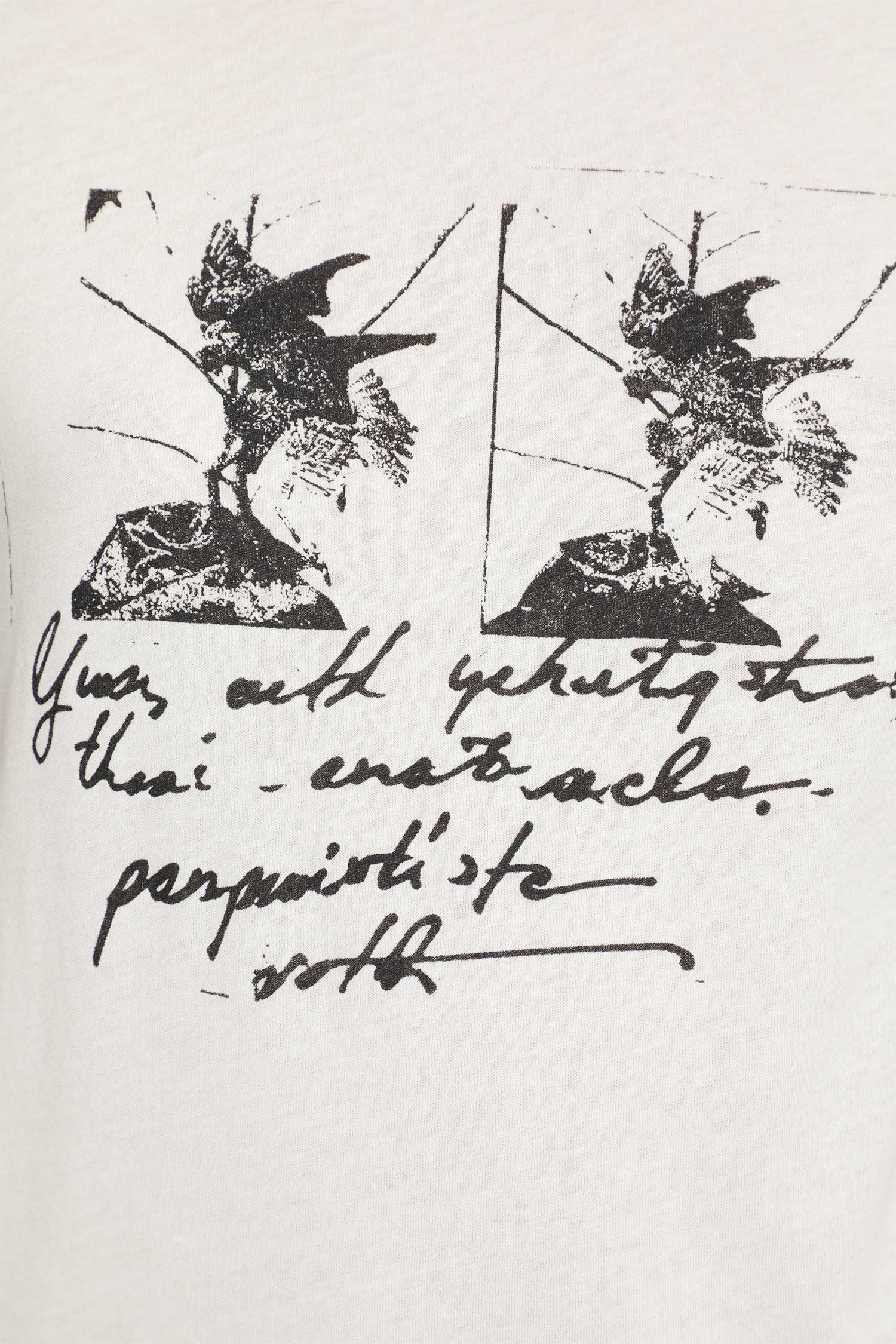Fanie ''Birds Postcard'' Standard T-Shirt