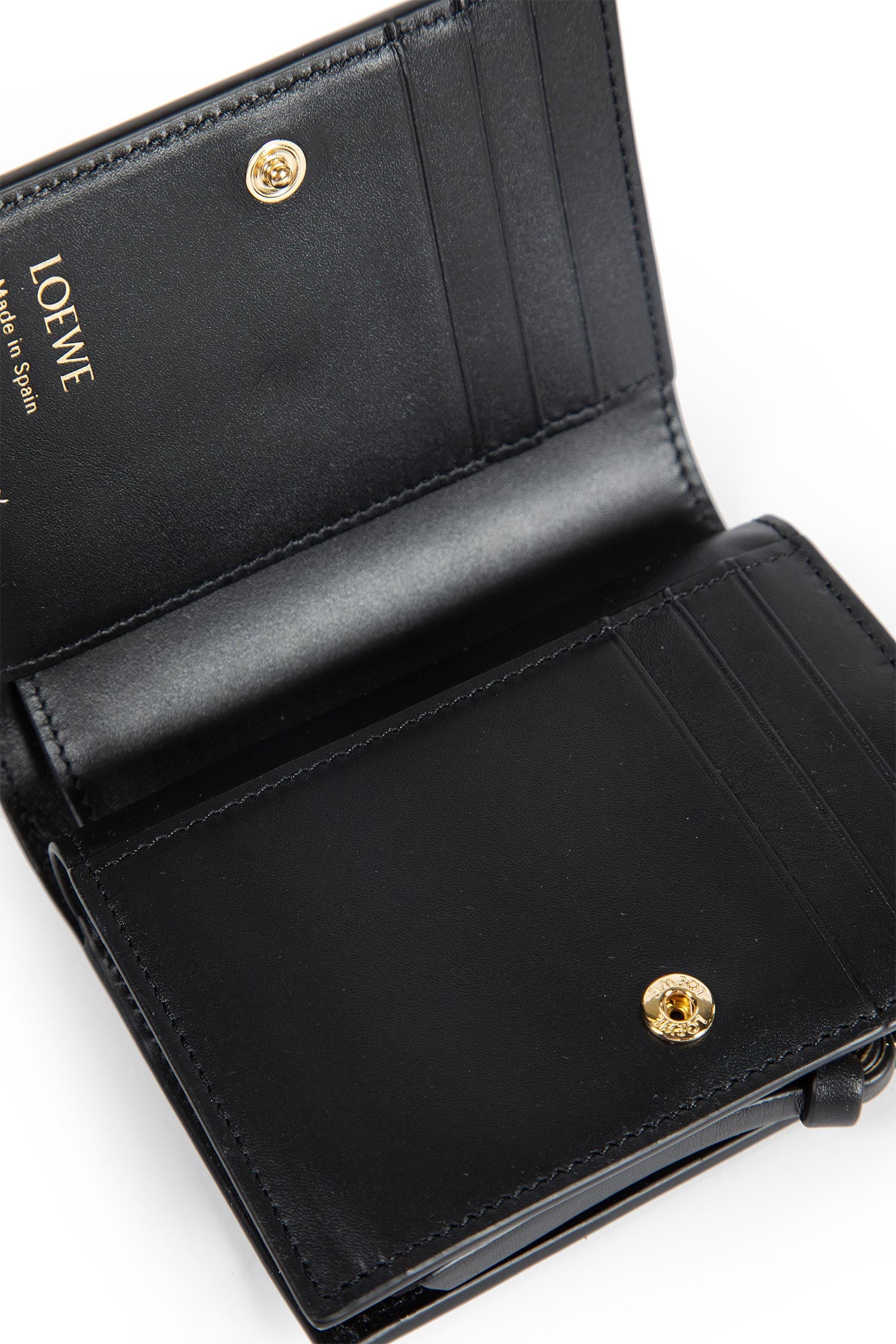 Albers Collaboration Compact Wallet