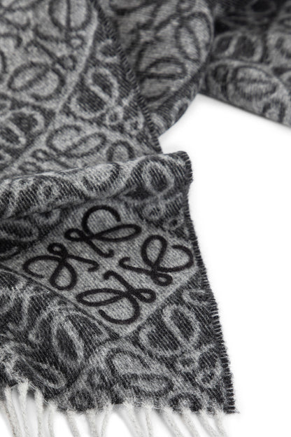 LOEWE WOMAN GREY SCARVES