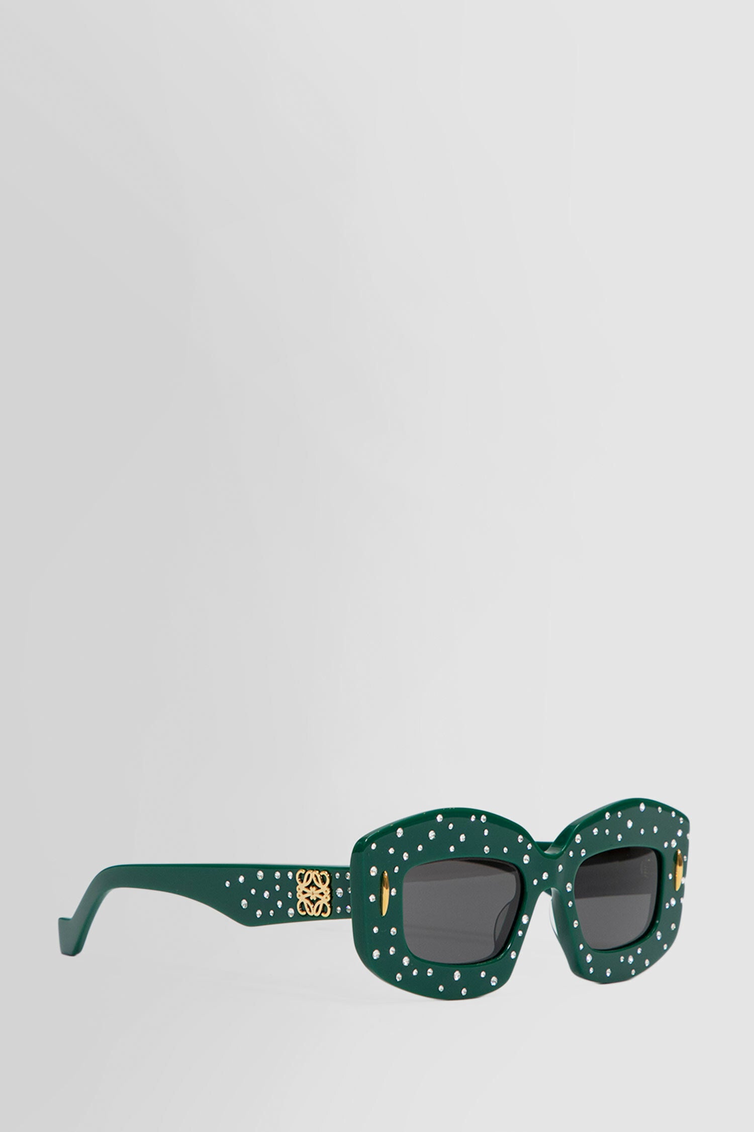 LOEWE UNISEX GREEN EYEWEAR