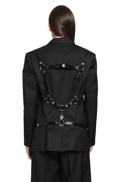 Harness