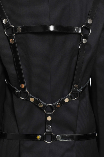 Harness