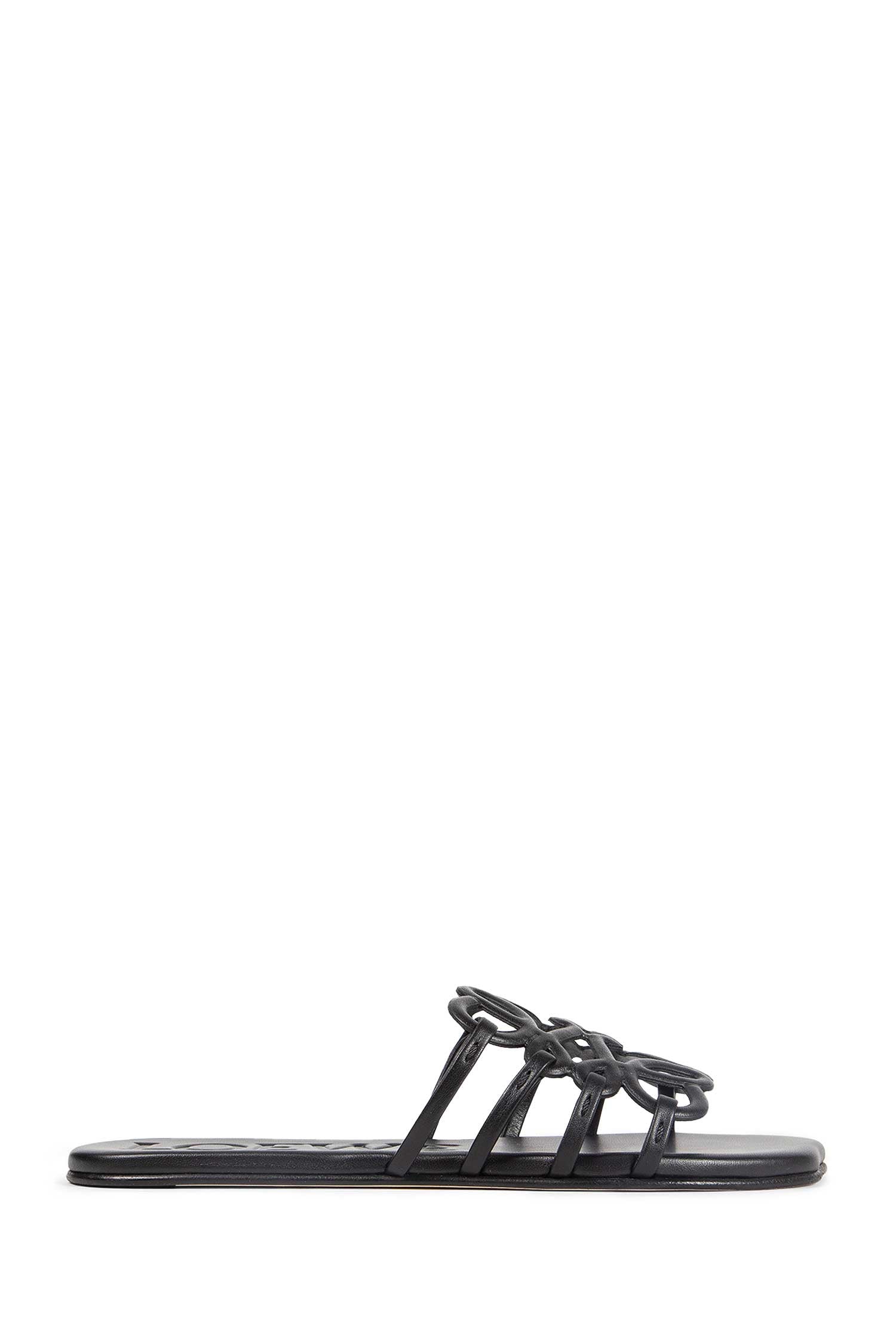 Petal Anagram Slides