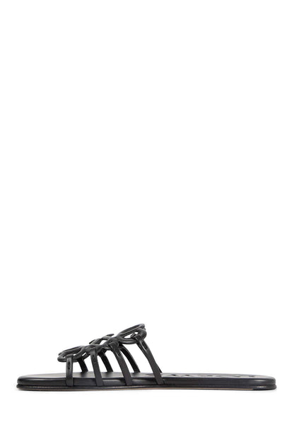 Petal Anagram Slides