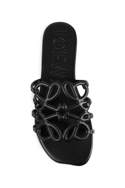 Petal Anagram Slides