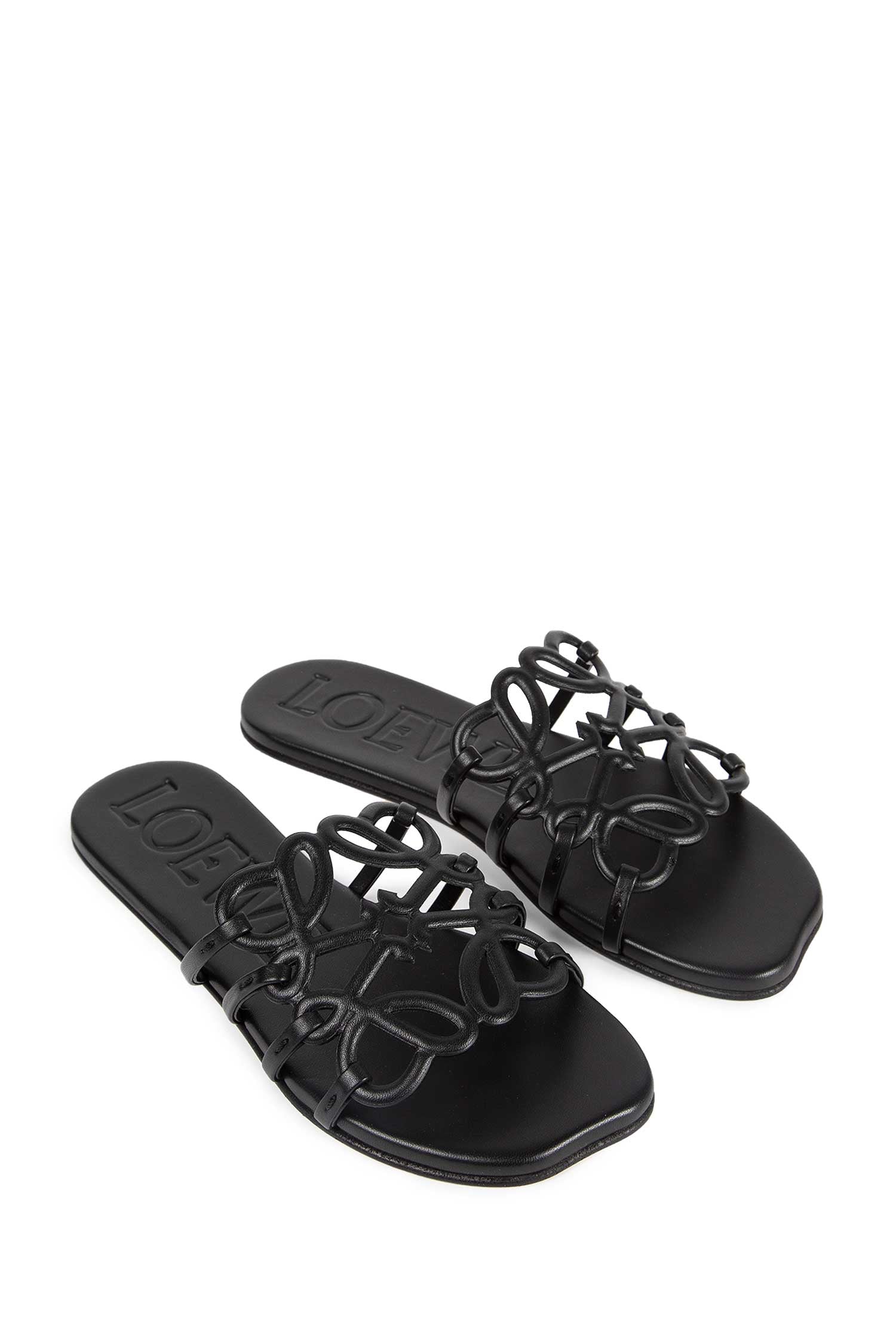 Petal Anagram Slides