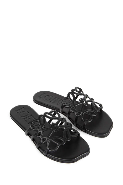 Petal Anagram Slides