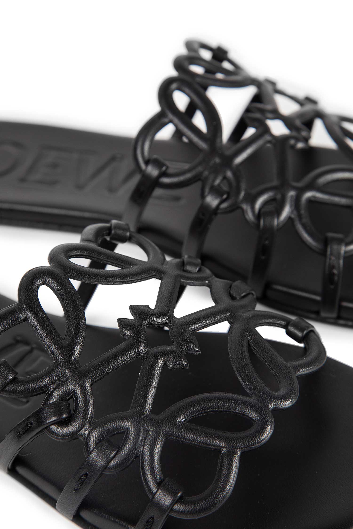 Petal Anagram Slides