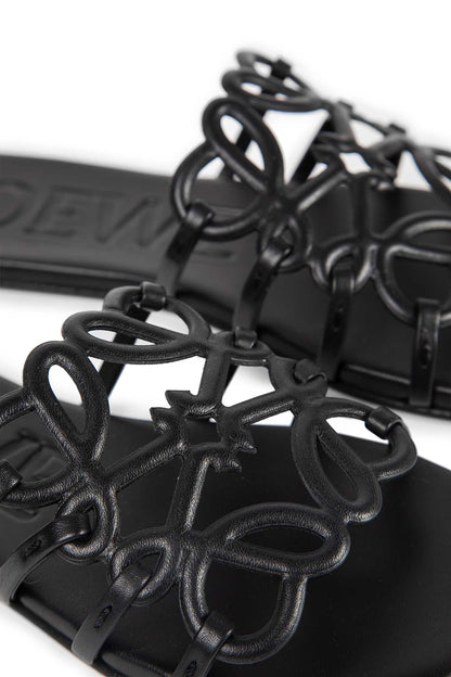 Petal Anagram Slides