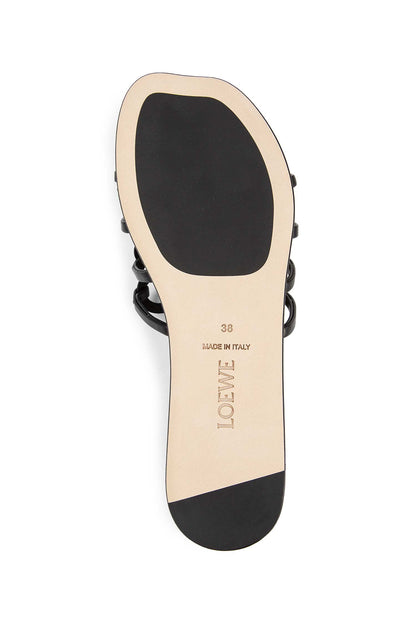 Petal Anagram Slides