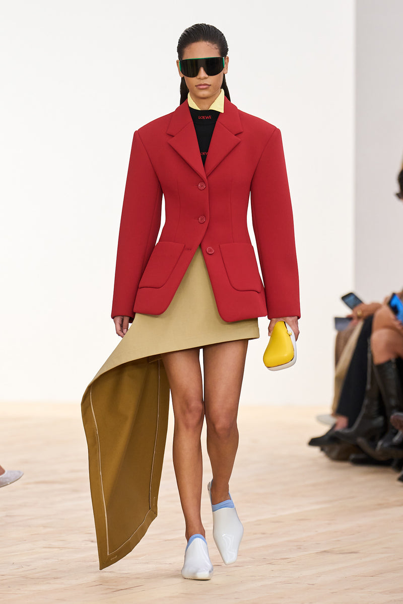 LOEWE Skirt in Cotton and Silk woman