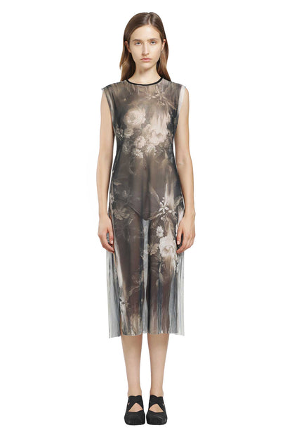Moonlight Roses Sheer Dress