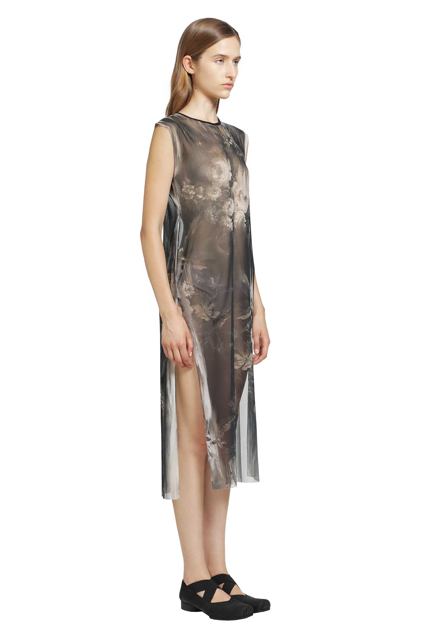 Moonlight Roses Sheer Dress