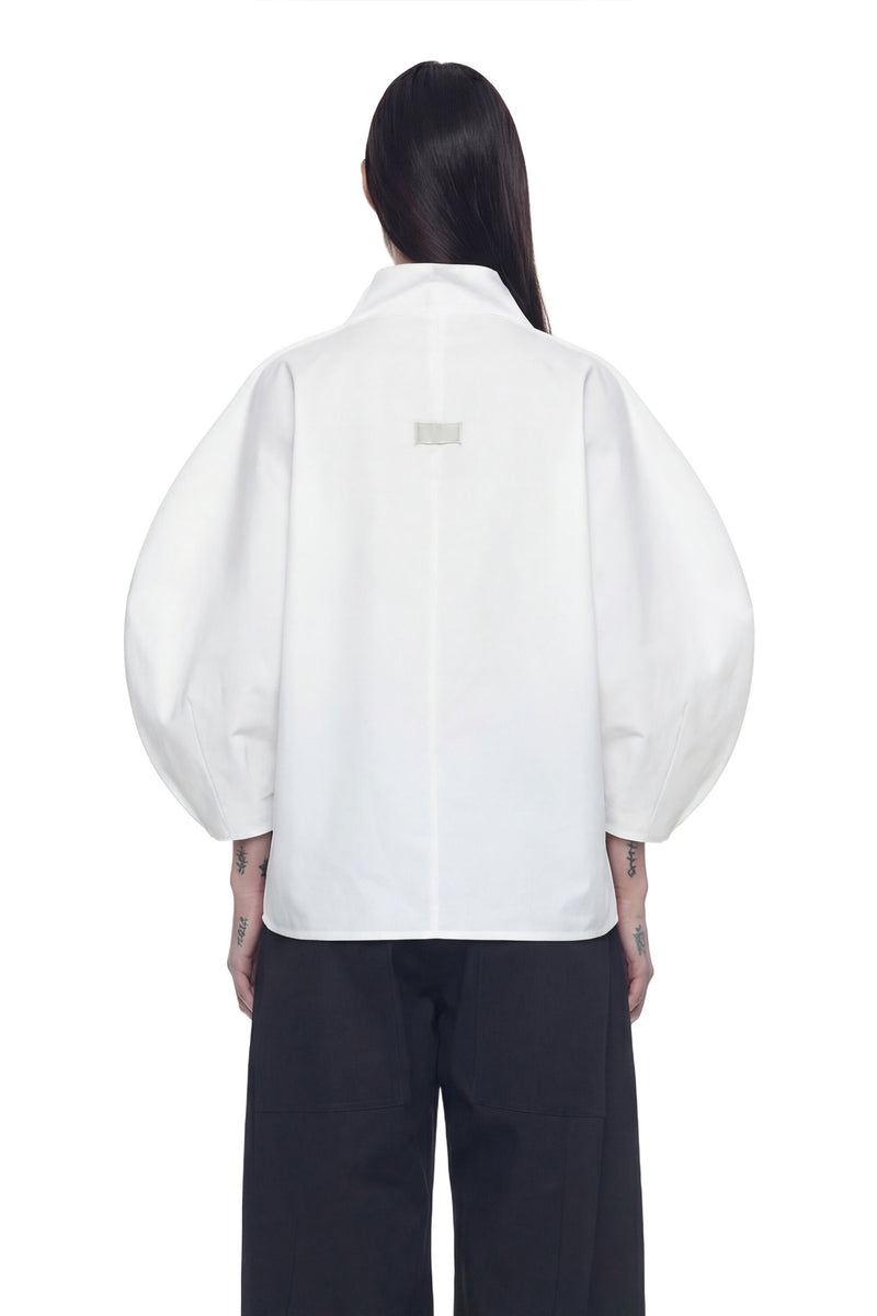 Balloon Sleeve High-Neck Top